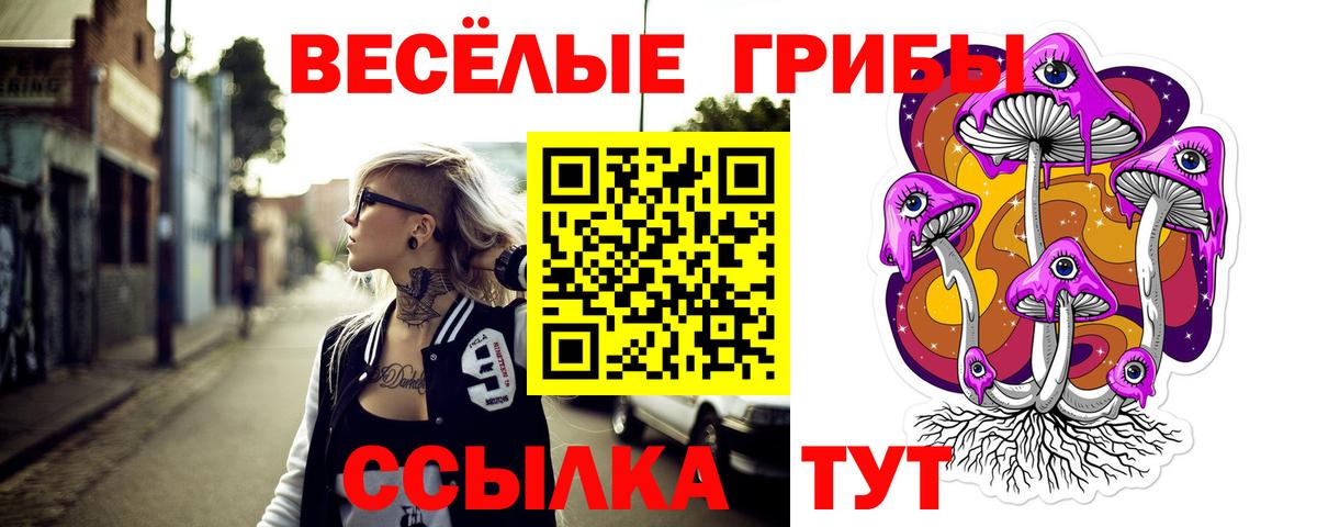 наркота  Псилоцибиновые грибы GOLDEN TEACHER  Вход с VPN  Железноводск 