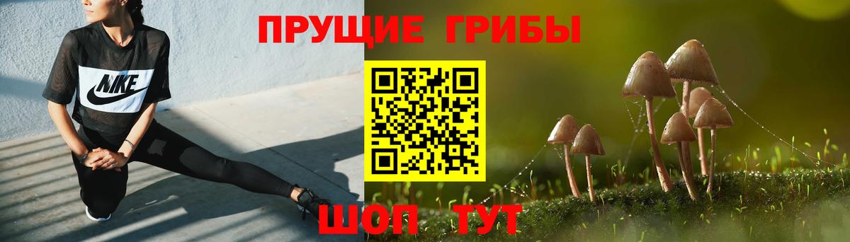 Псилоцибиновые грибы ЛСД Железноводск
